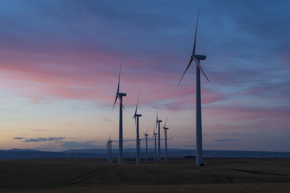 wind faem at dusk
