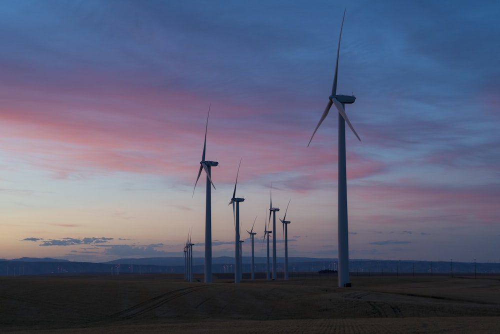 Molinos de viento blancos