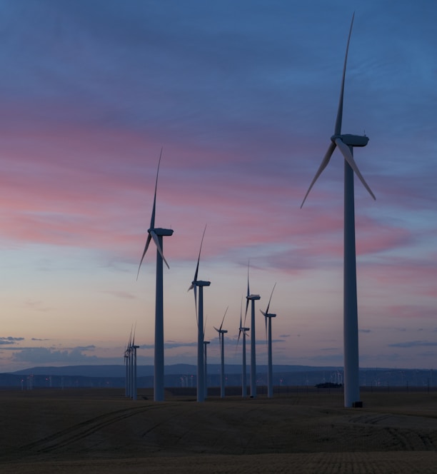 white wind mills