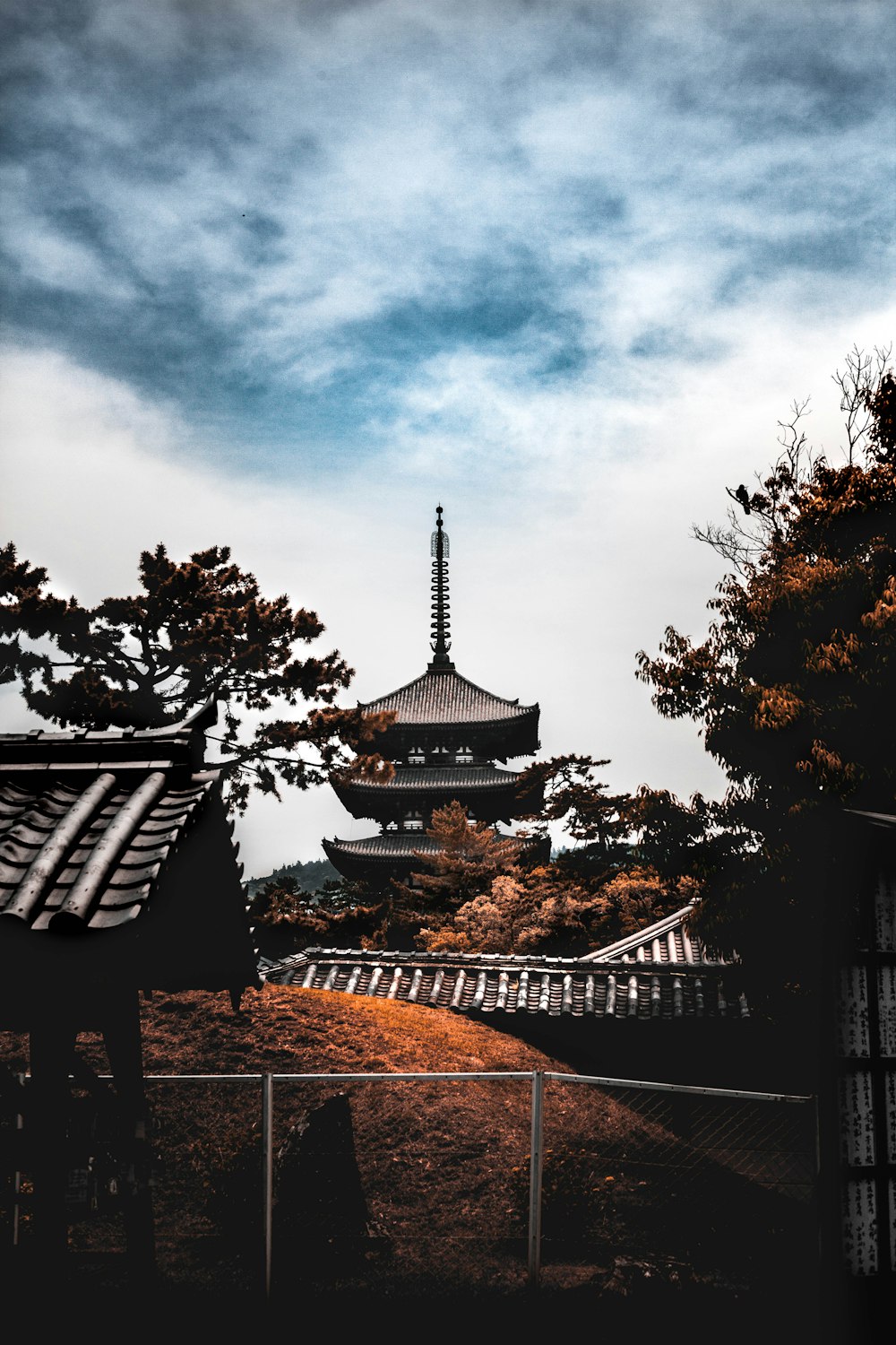 brown pagoda scenery