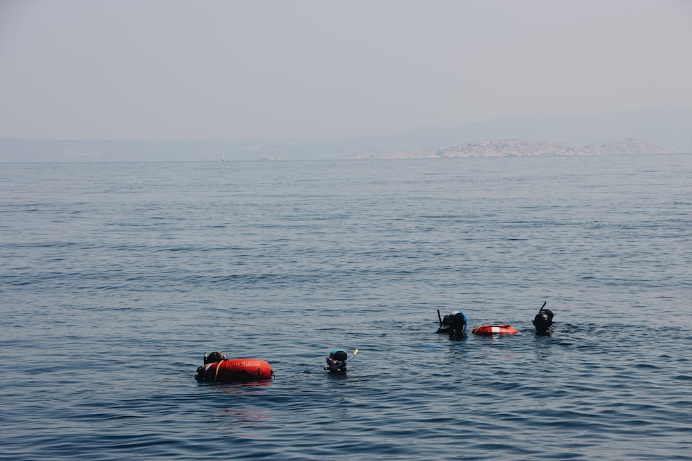 people swimming on body of water