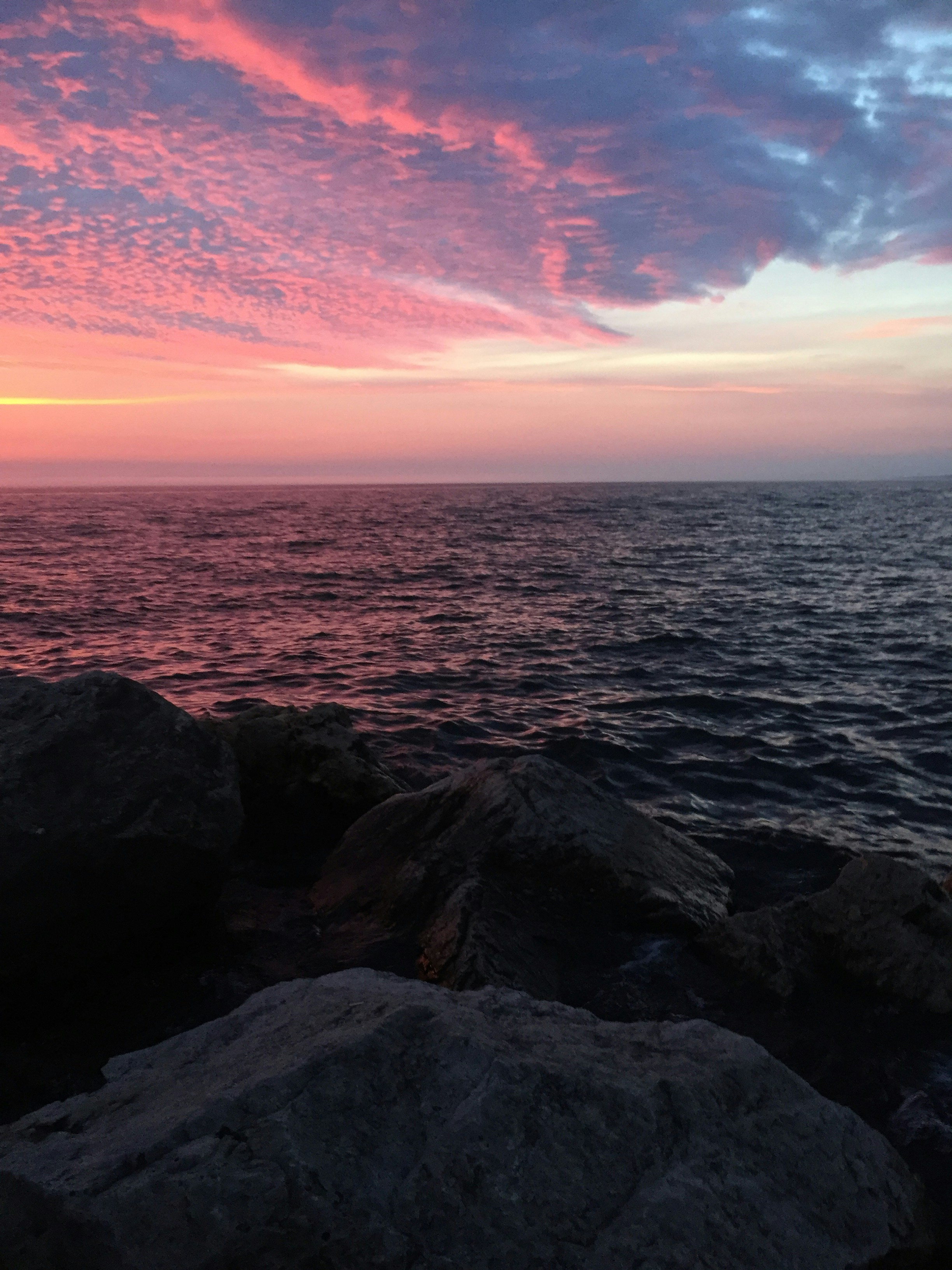 Photo by niftyartofficial1_