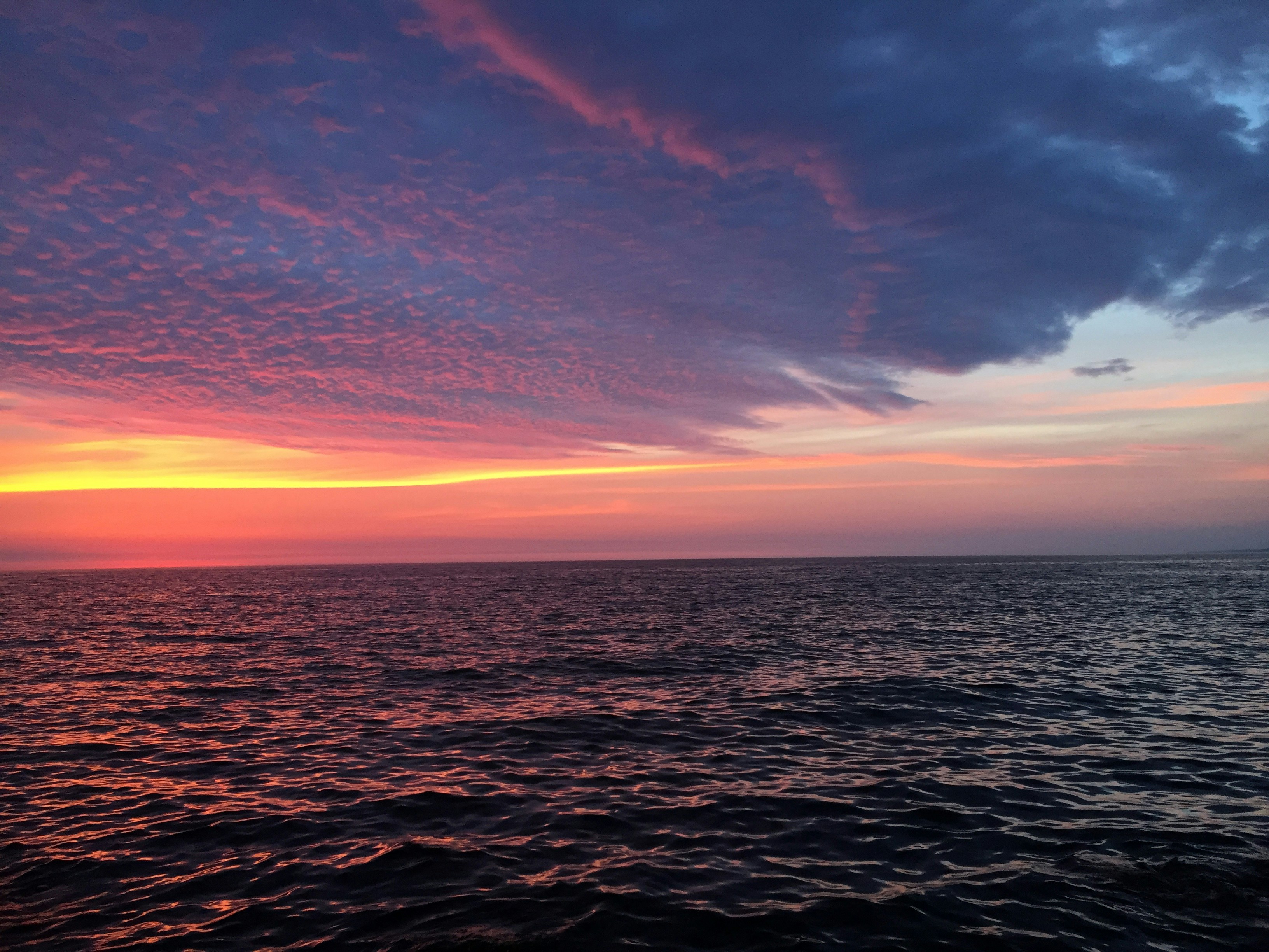 Photo by niftyartofficial1_