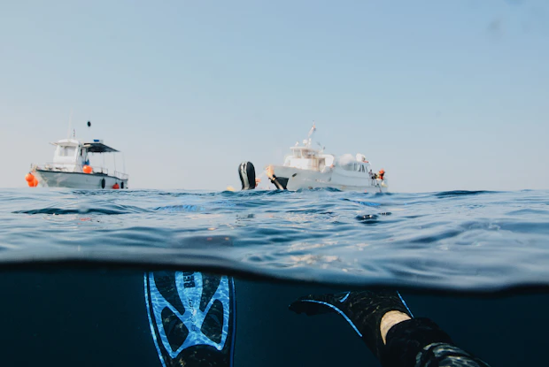 blue-and-white flippers