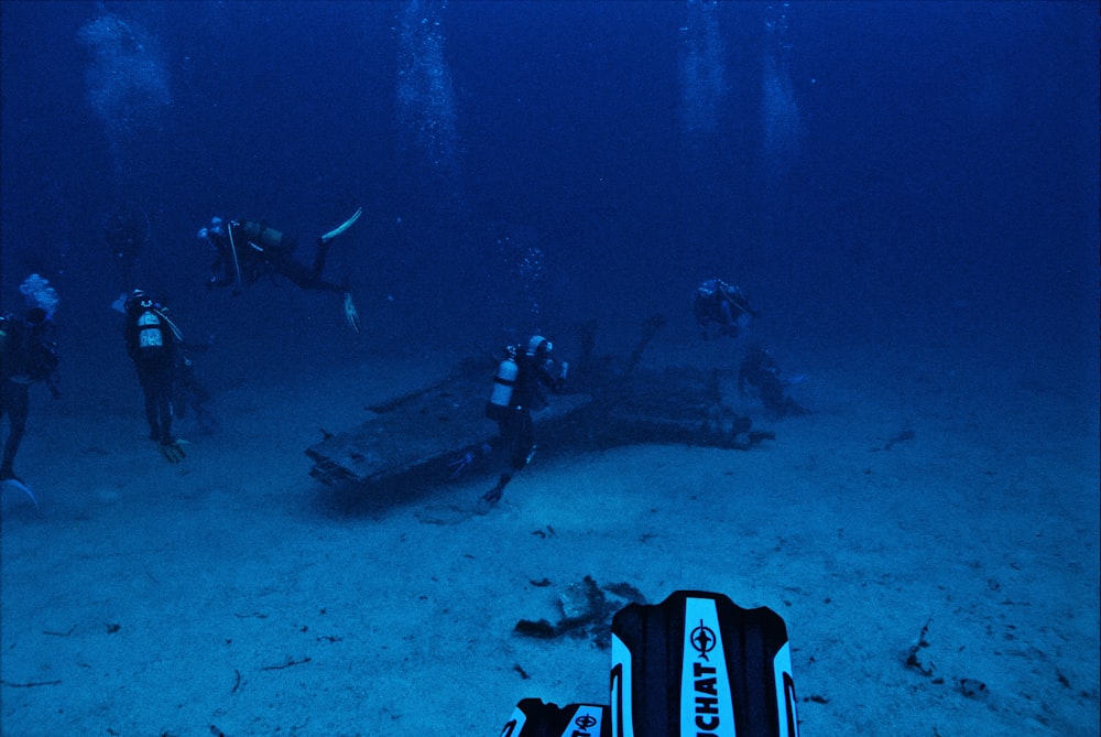 people diving ocean