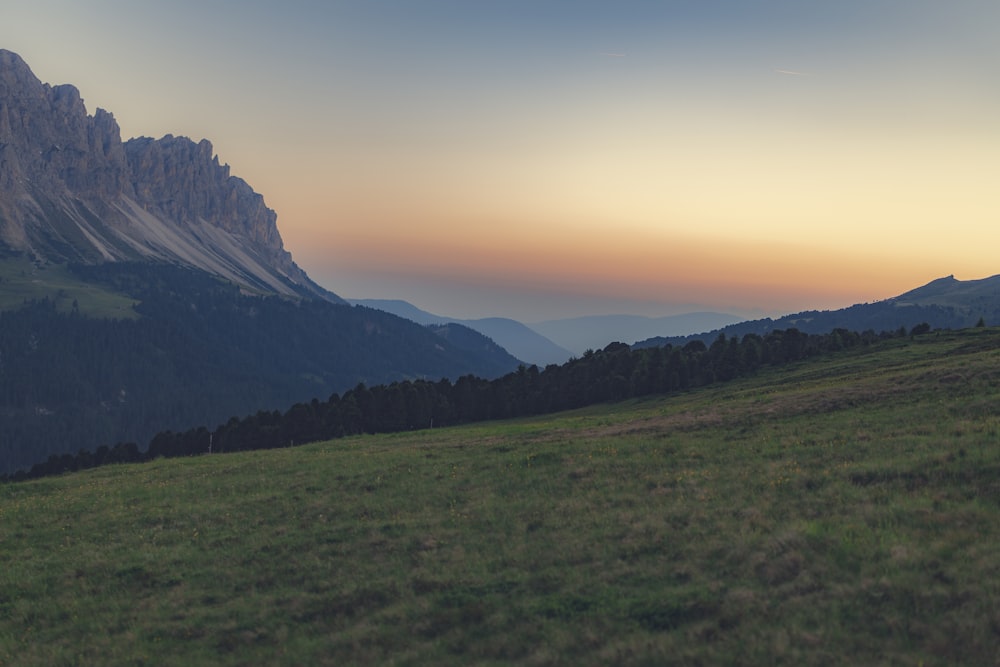 green grass field and mountain scenery