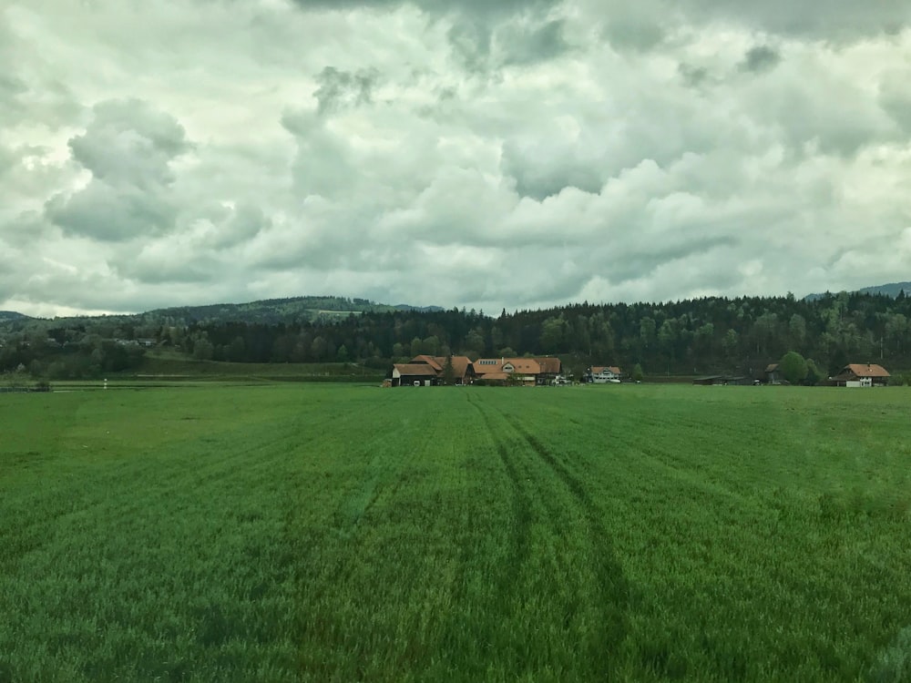 brown houses on field