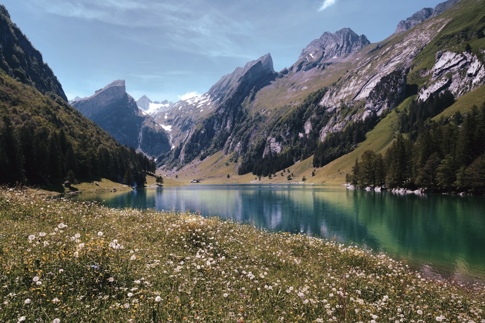 green mountain slope and lake scenery