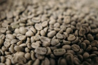 A close-up of a pile of unroasted green coffee beans, displaying a variety of shapes and slight variations in color across the beans. The texture and details of the beans are clearly visible, highlighting their raw and natural state.