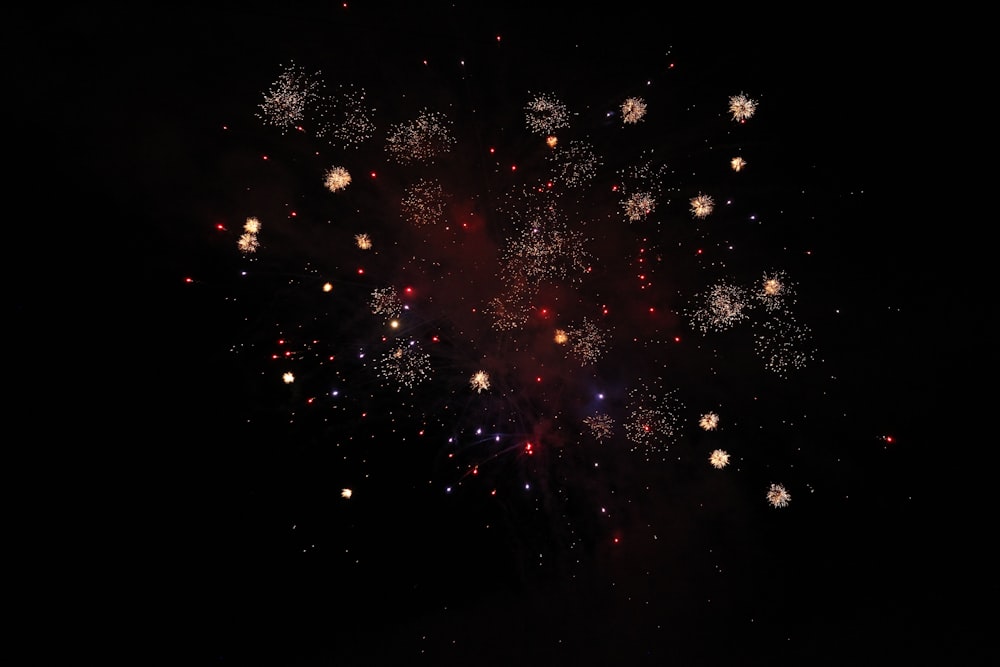 sky fireworks during nighttime