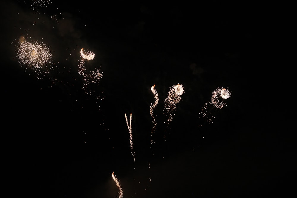 Fuegos artificiales en el cielo durante la noche