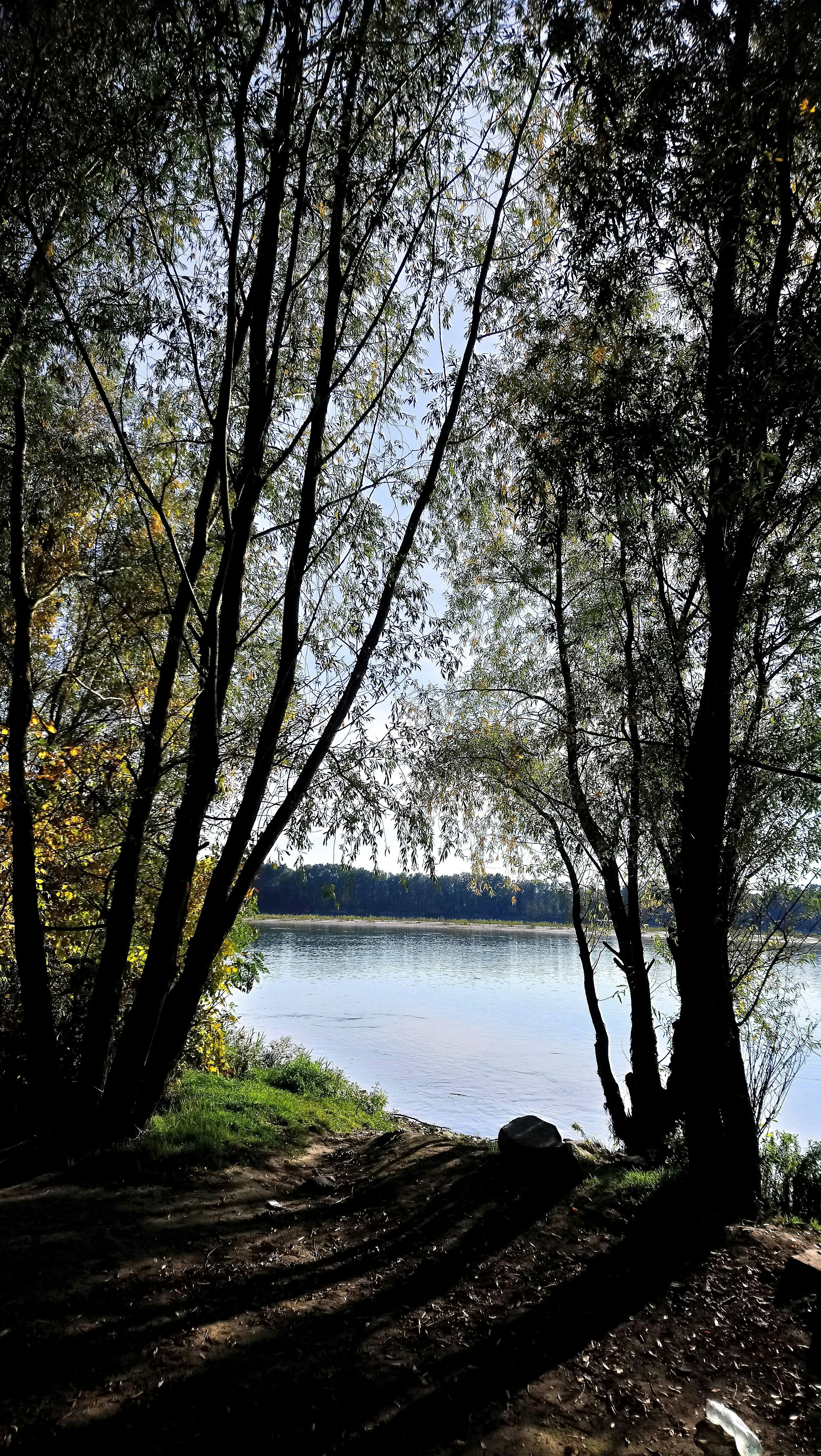Photo by vdanijela