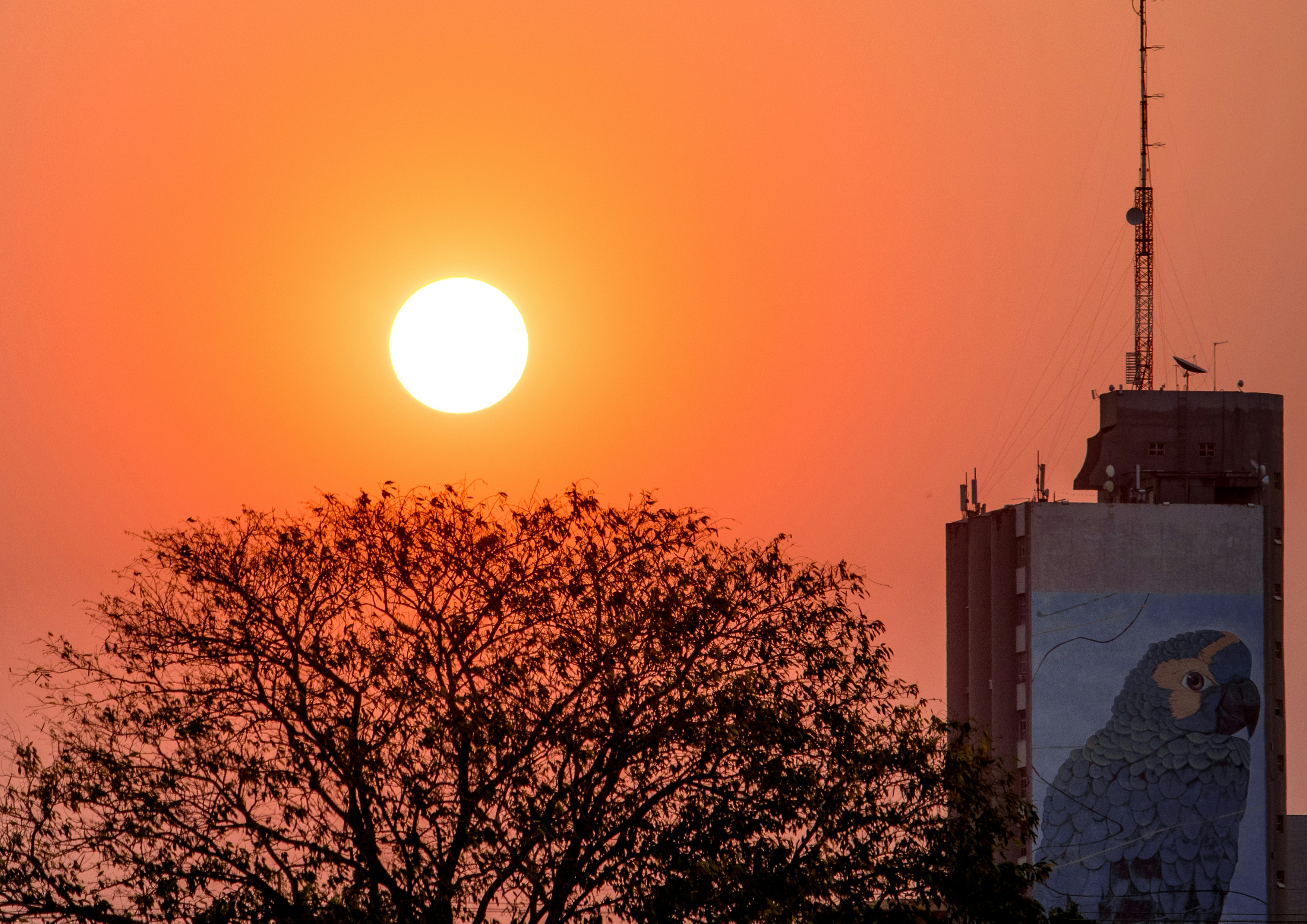 Brown high-rise building