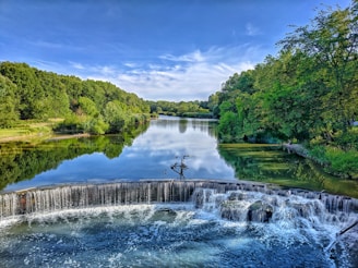 body of water near trees