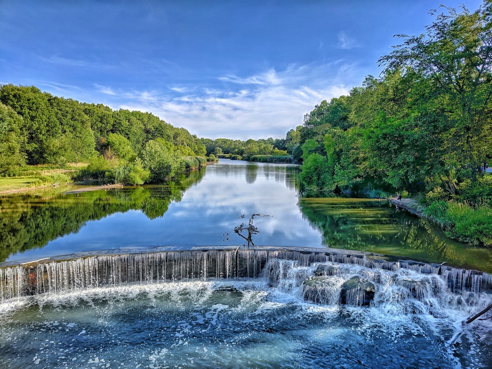 specchio d'acqua vicino agli alberi