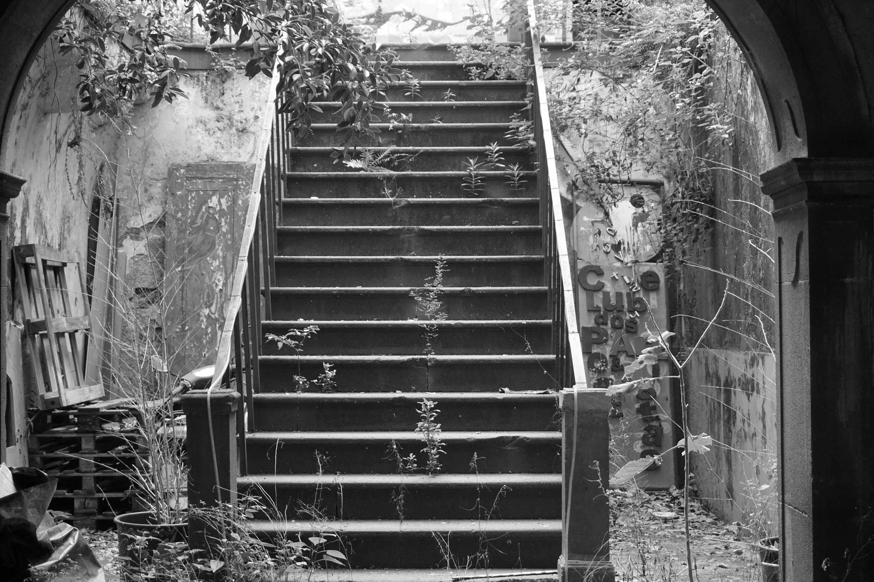 grayscale photography of stairway