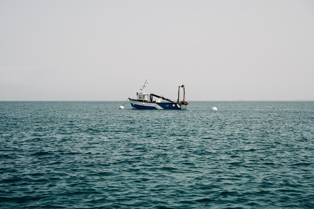 white and blue fishing vissel