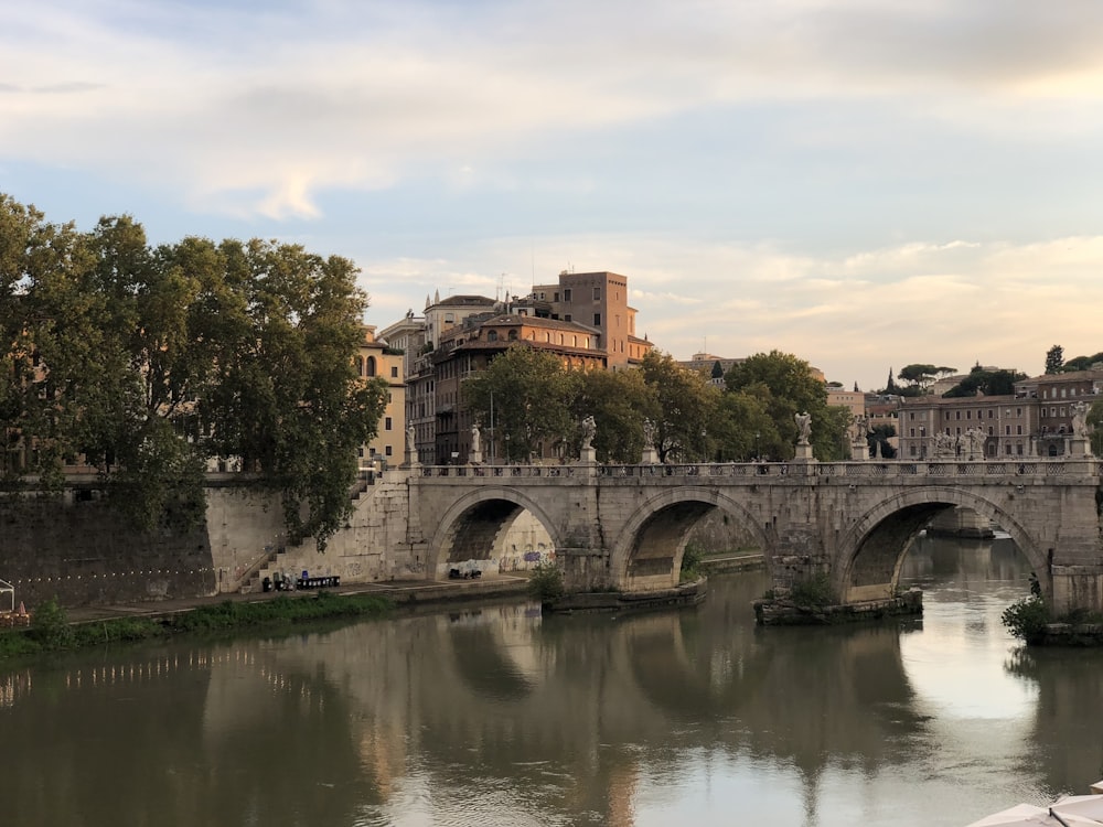 gray concrete bridge