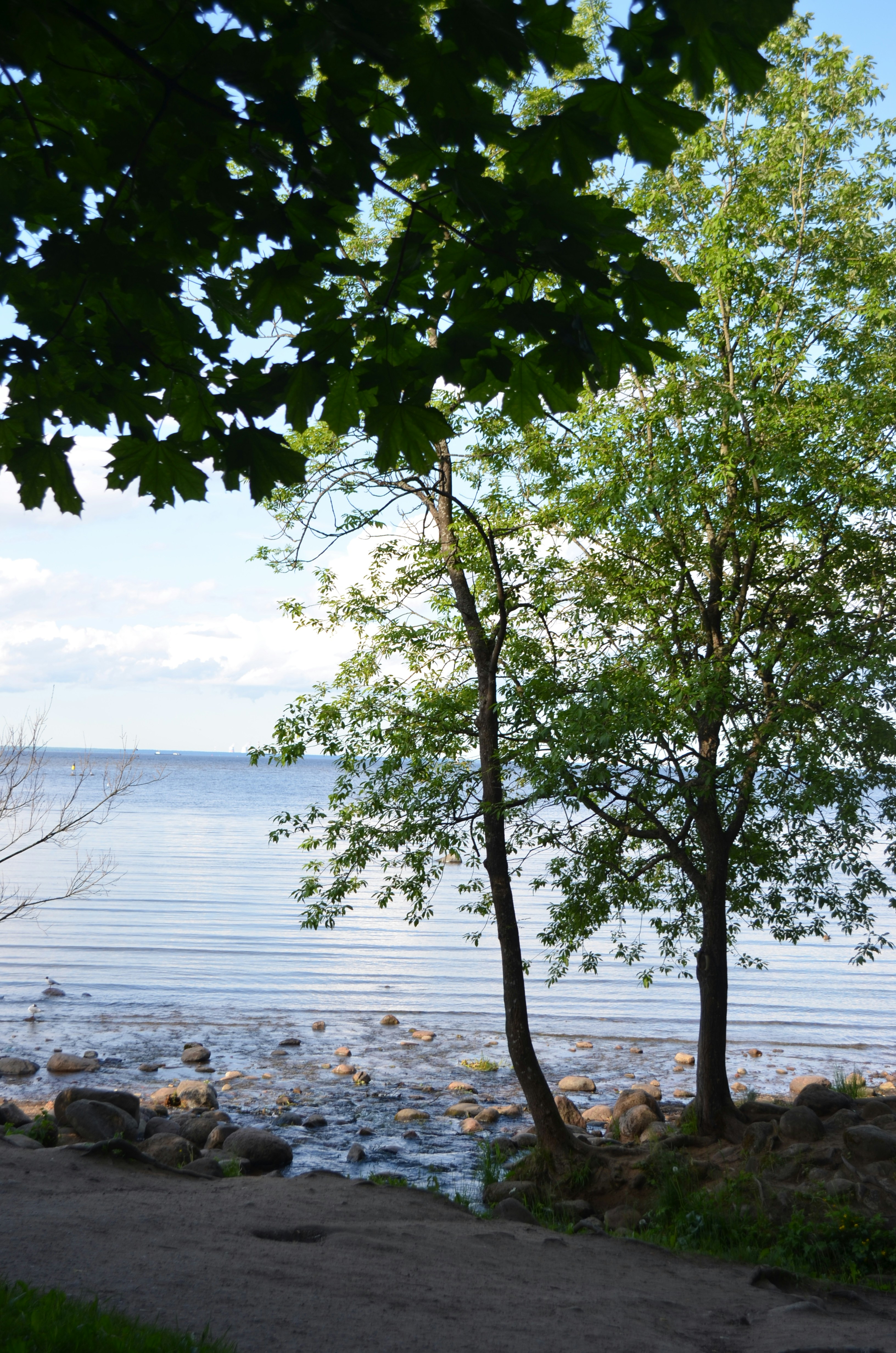 Photo by jcguarinpenaranda