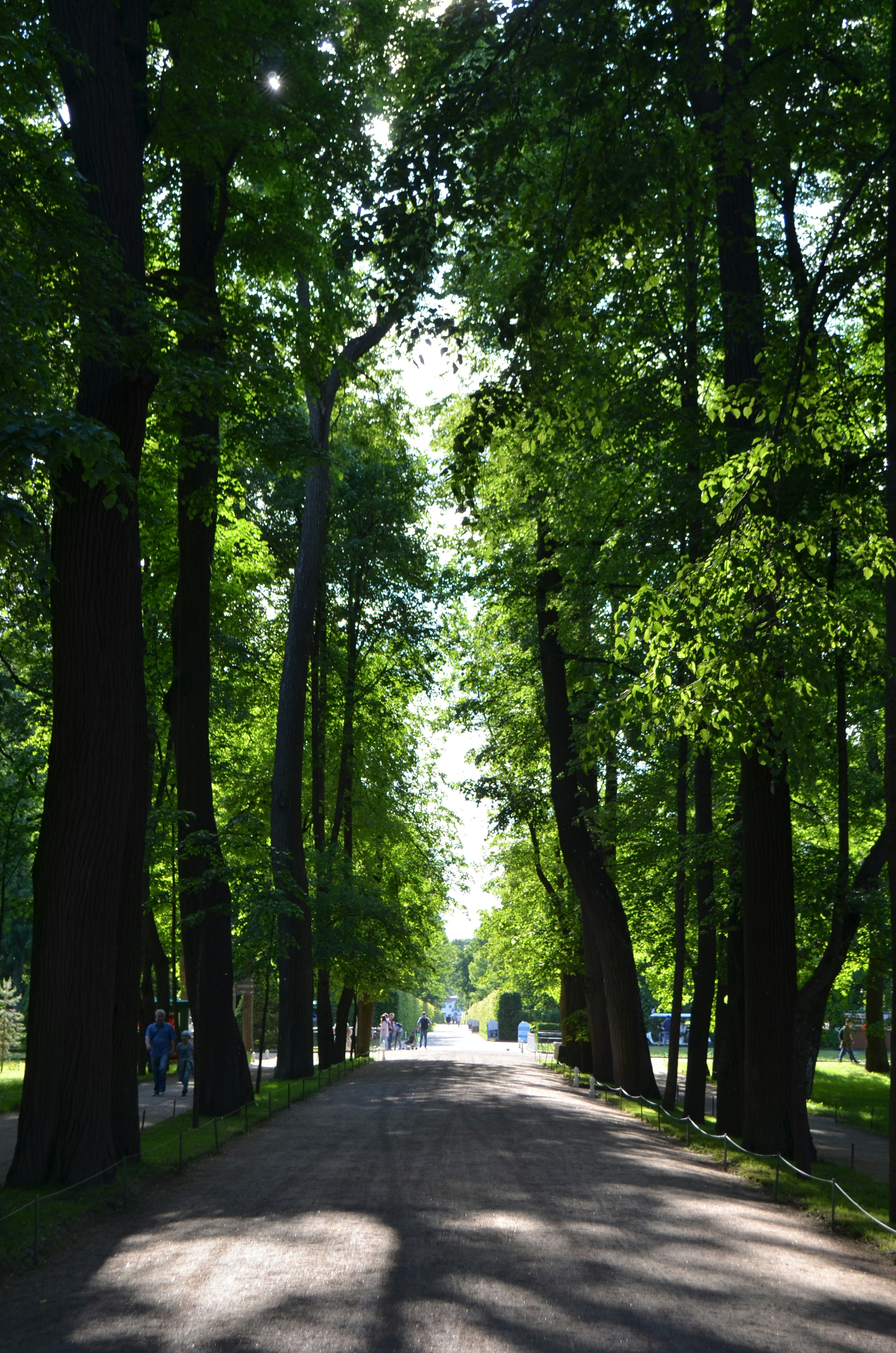 Photo by jcguarinpenaranda