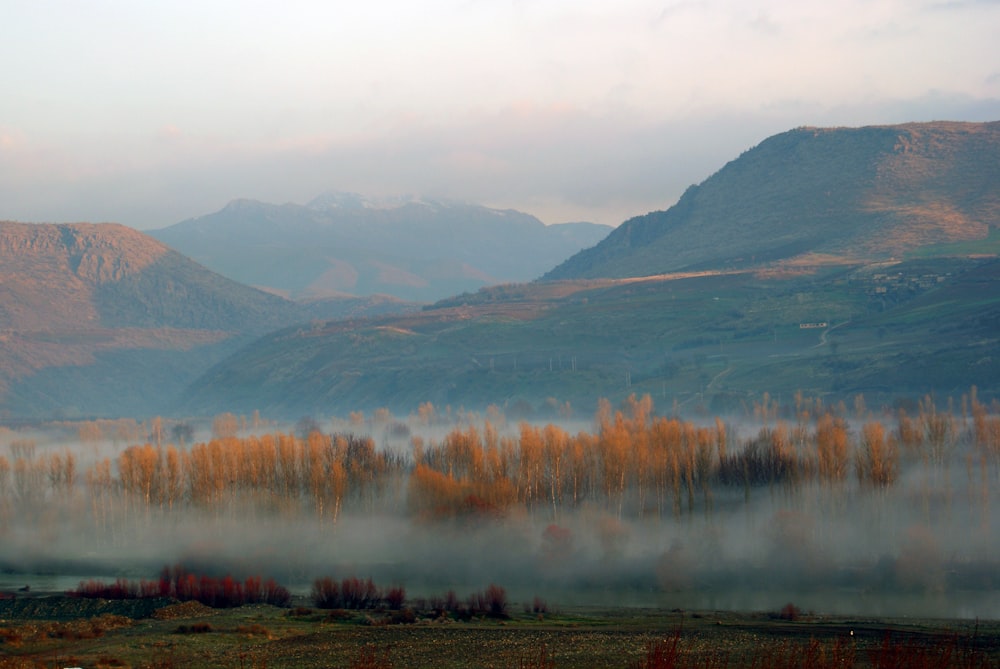 photography of mountain range during daytime