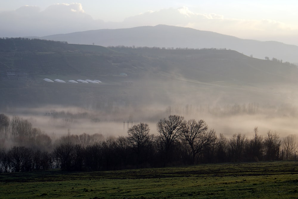 landscape view surrounded with fogs