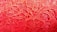 Intricate lace fabric with detailed floral patterns, showcasing a variety of curved and circular designs. The texture is highlighted by the fine embroidery and the vibrant red color of the material, which reflects light softly.