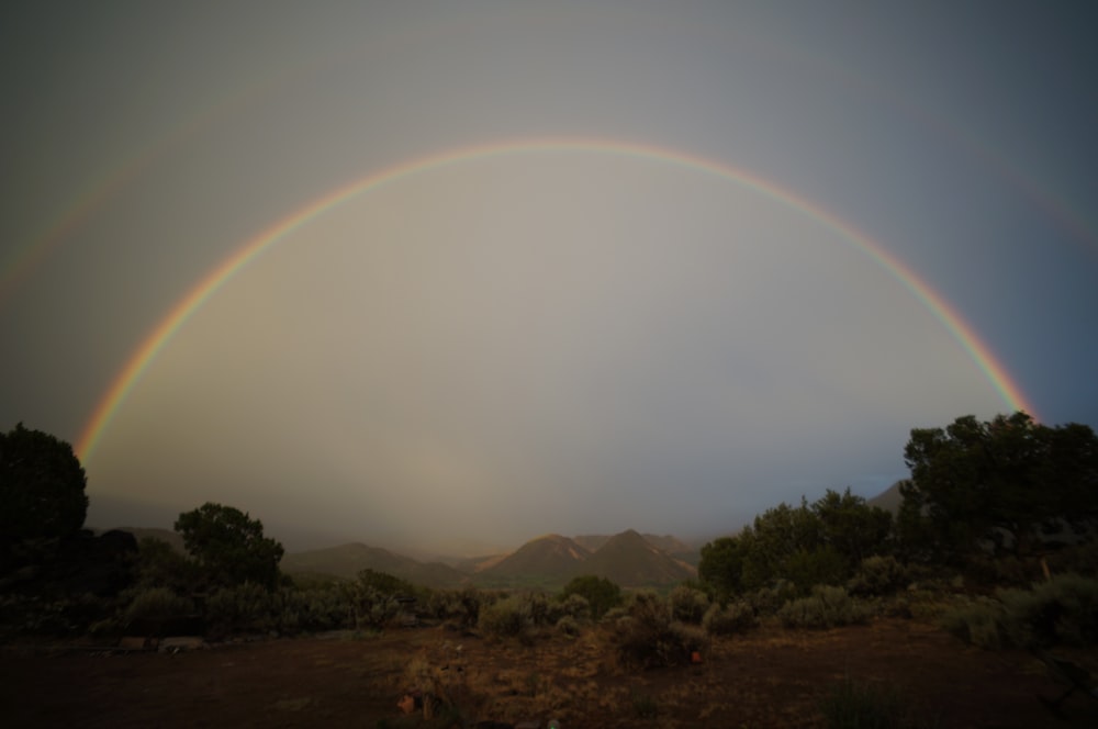 photography of rainbow during daytime