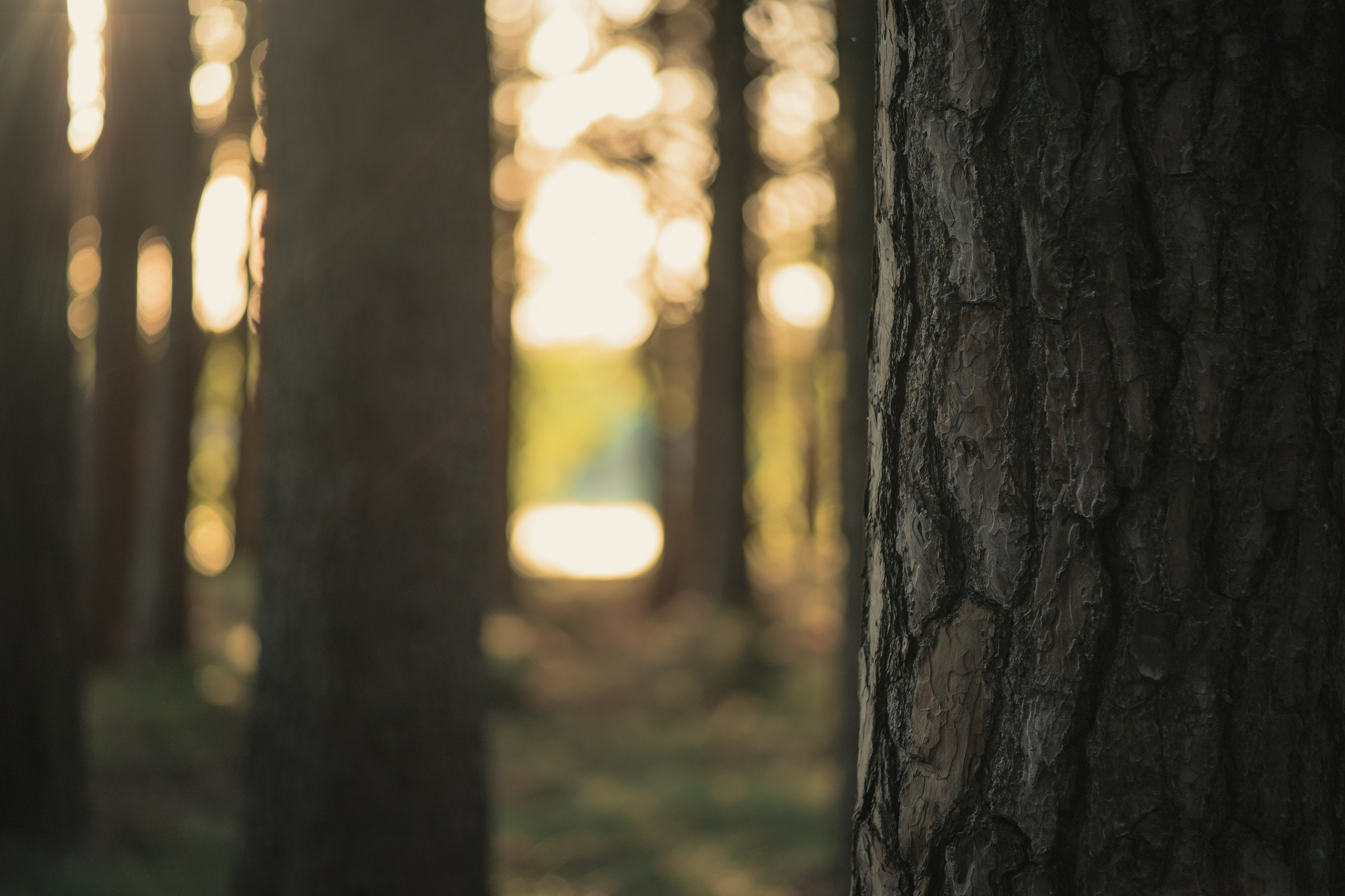 Photo by dominik_kempf