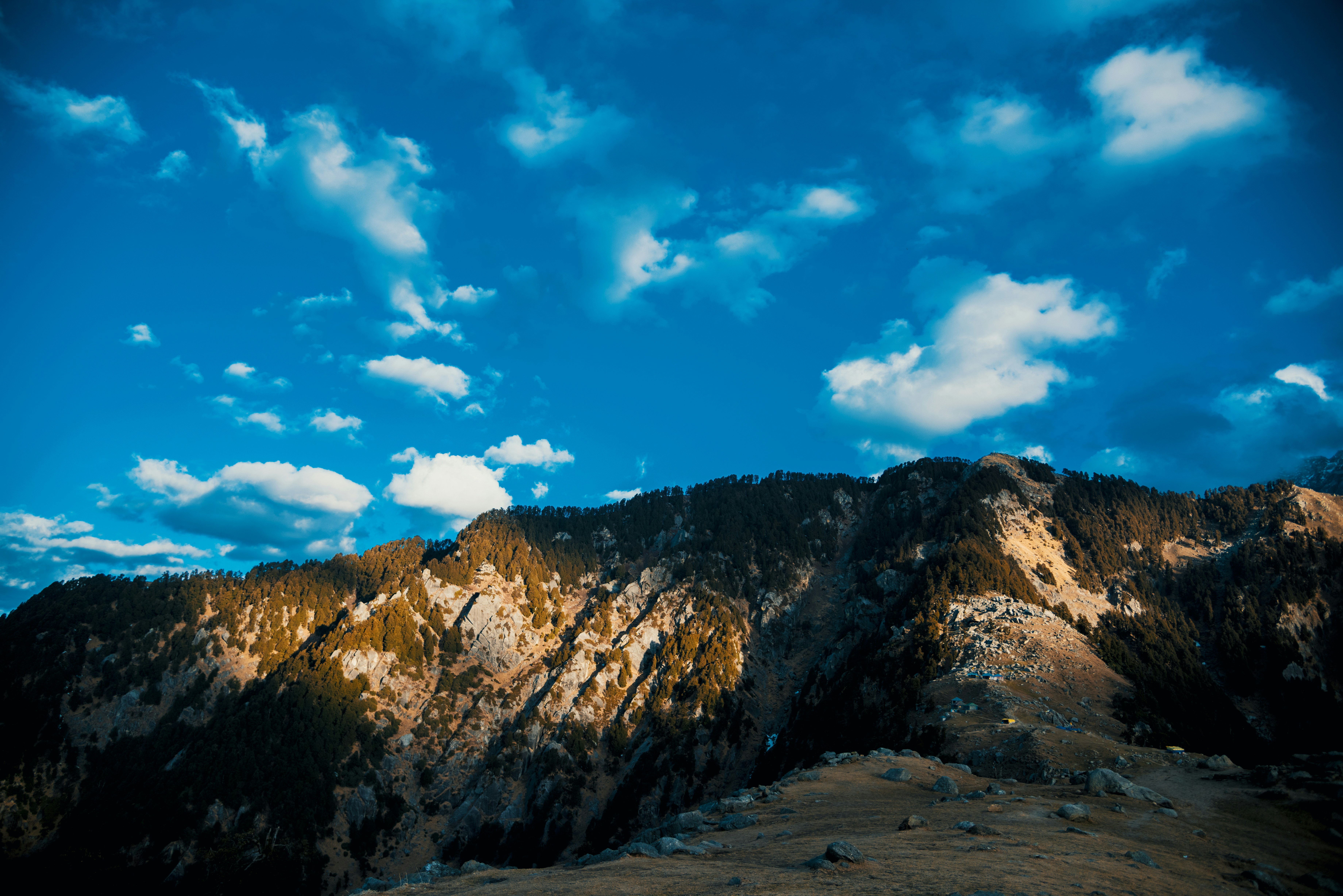 Photo by sawant_sagar