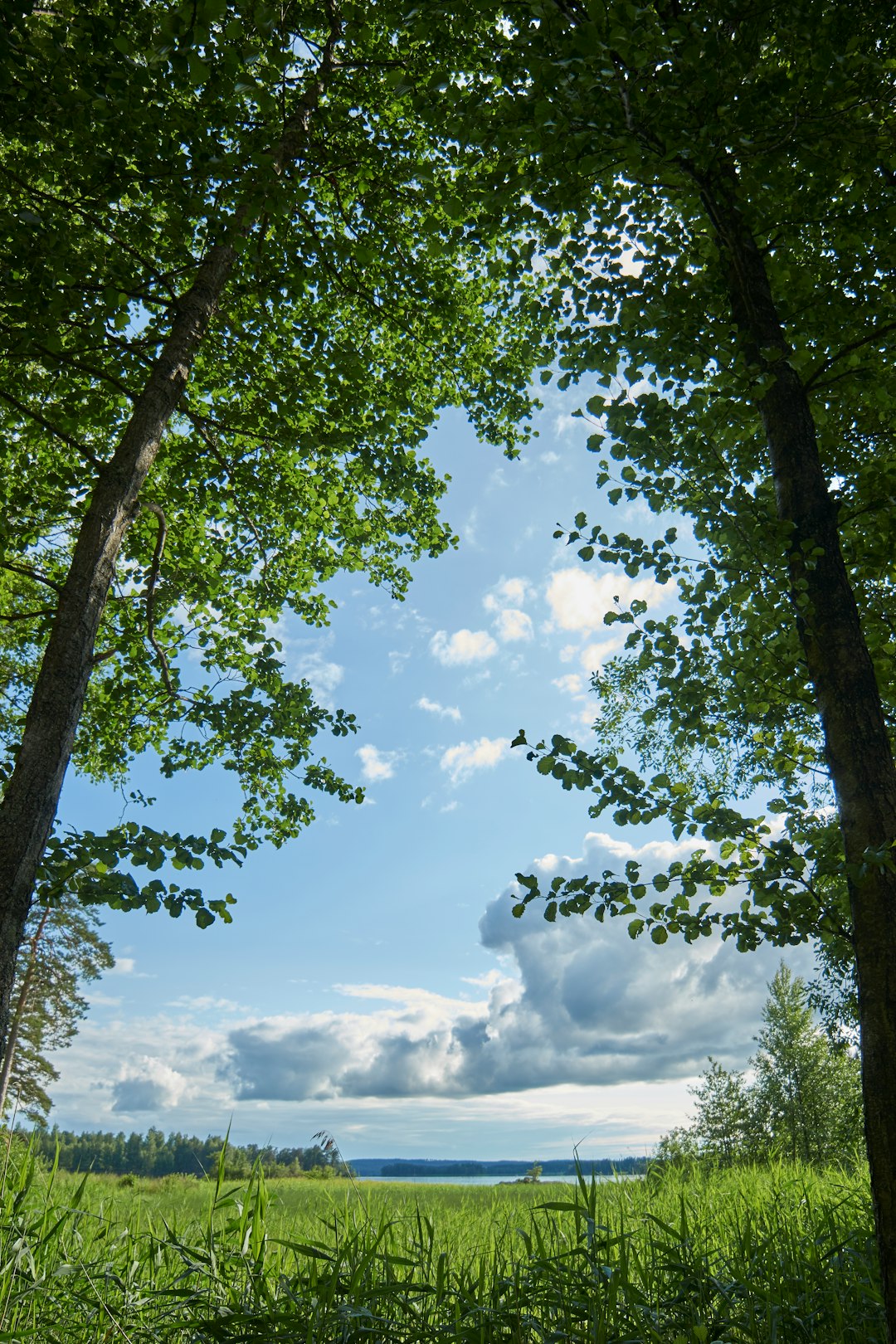 Nature reserve photo spot LUNEDET 814 Sweden