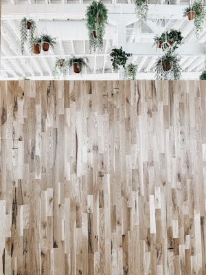 Vinyl plank flooring