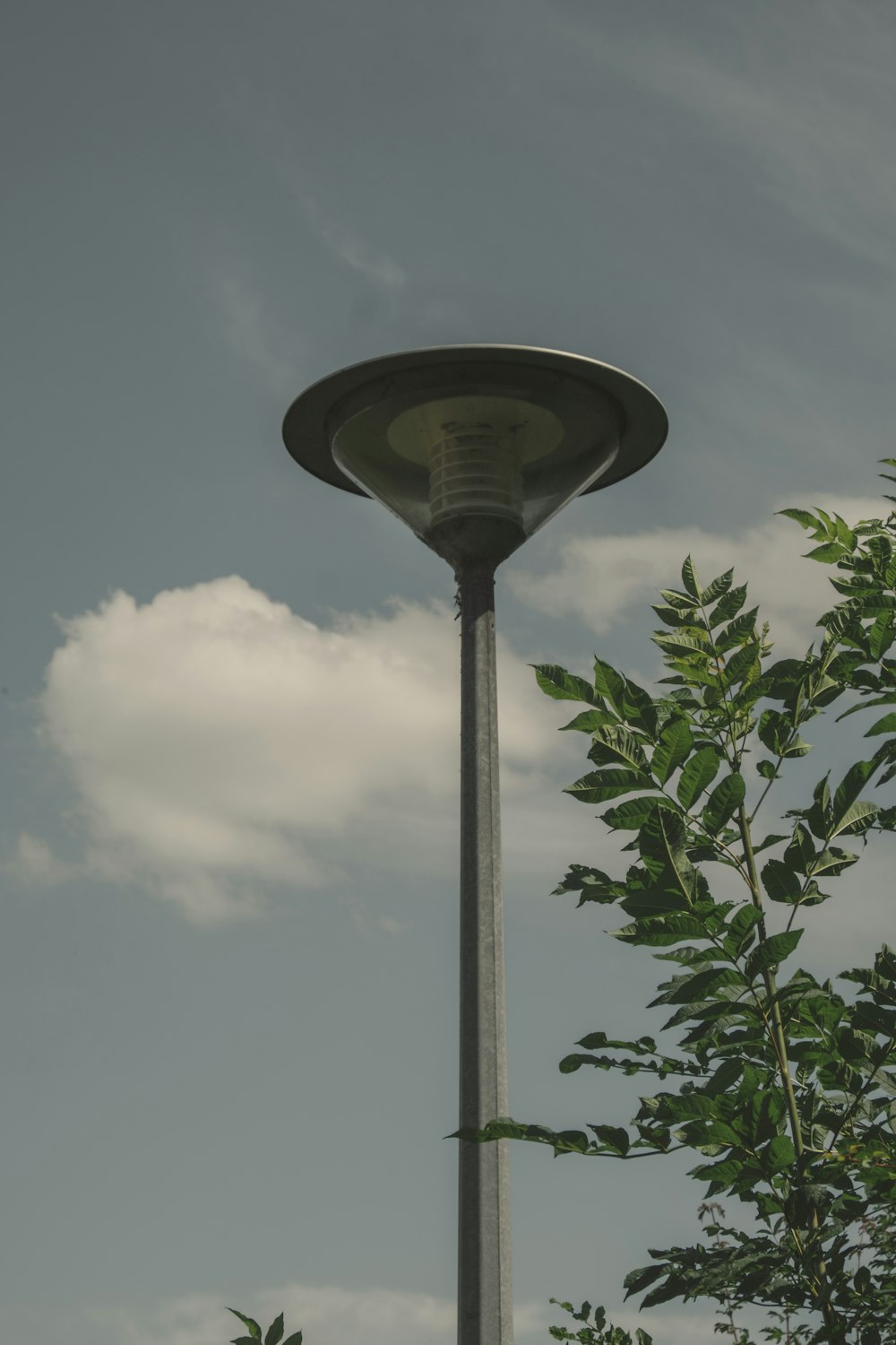 gray street lantern