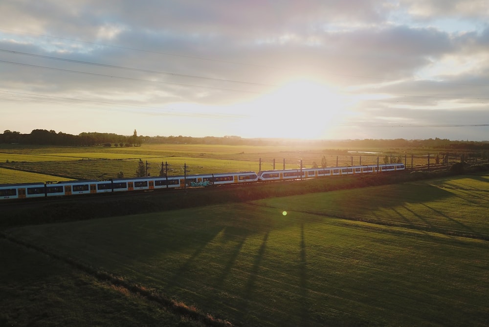 green grass field sunset scenery