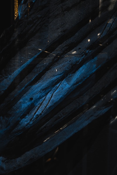 Transform Your Photos into Coloring Art