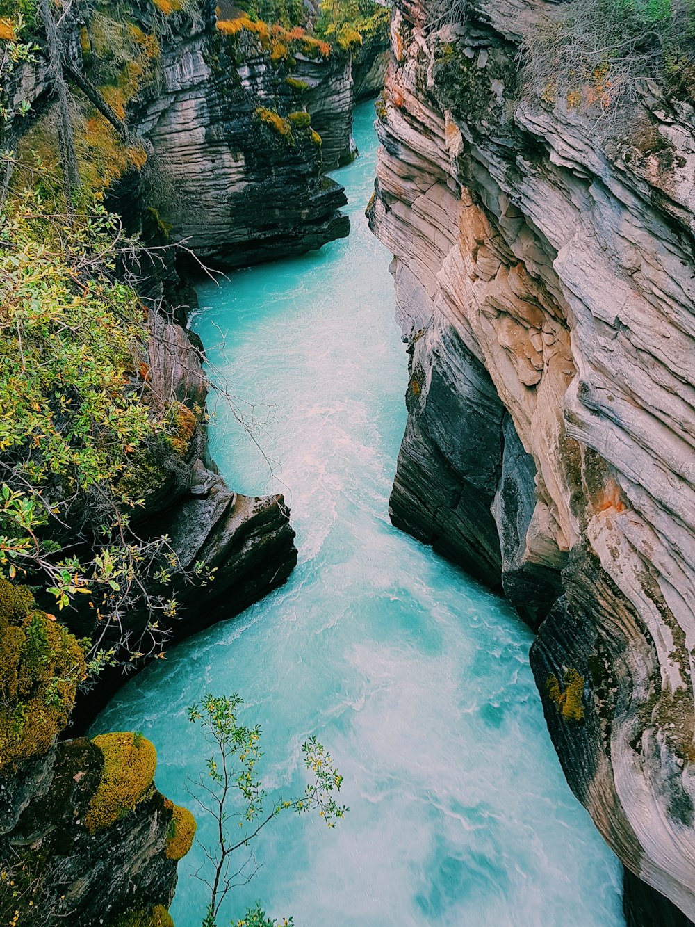Athabasca Falls at Canada