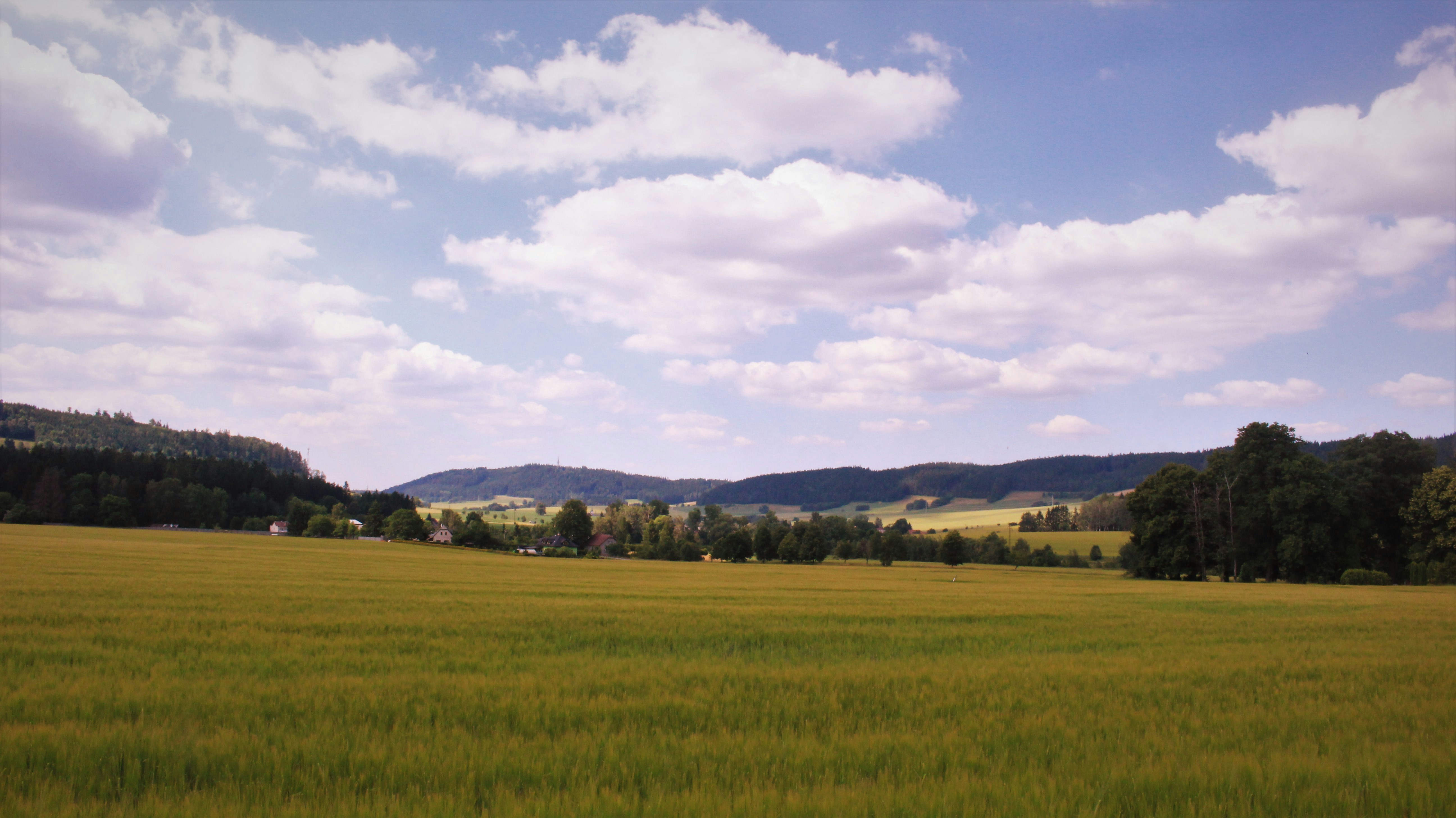 Photo by marjorylucabaxter