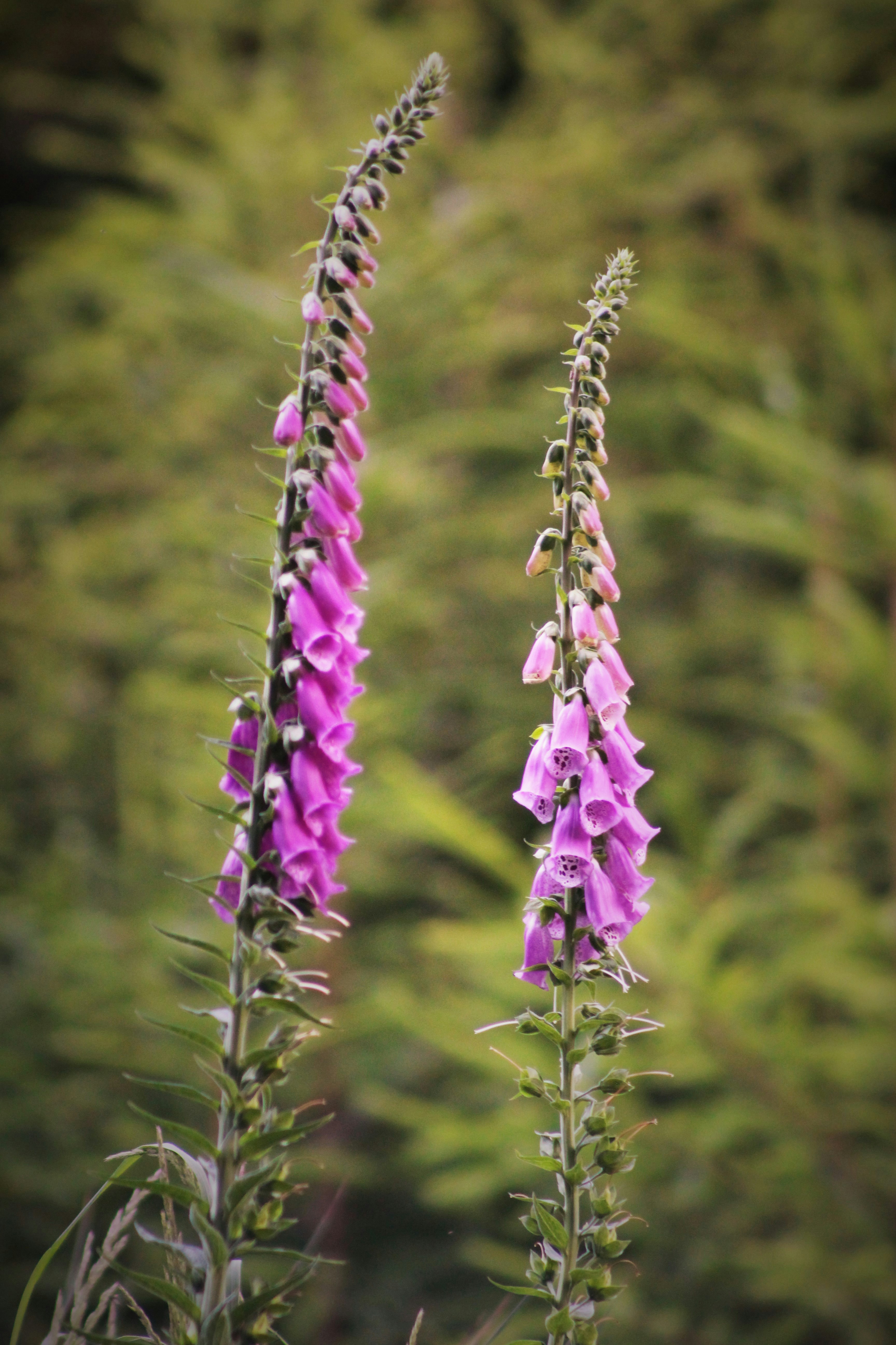 Photo by marjorylucabaxter