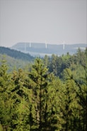 A lush forest with dense green coniferous trees extends into the distance. In the background, several wind turbines are visible on a slightly hazy horizon.