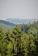 A lush forest with dense green coniferous trees extends into the distance. In the background, several wind turbines are visible on a slightly hazy horizon.