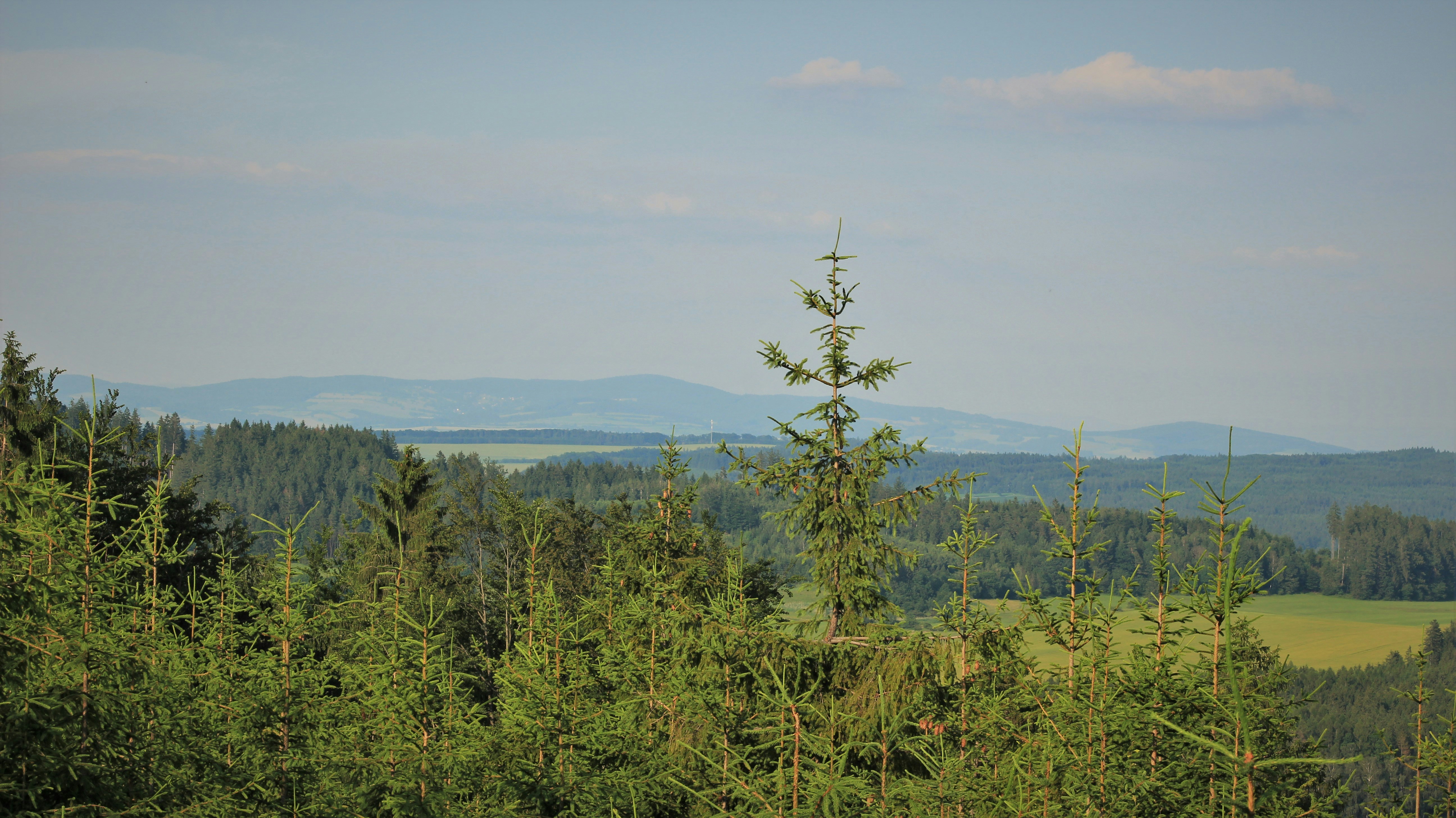 Photo by marjorylucabaxter