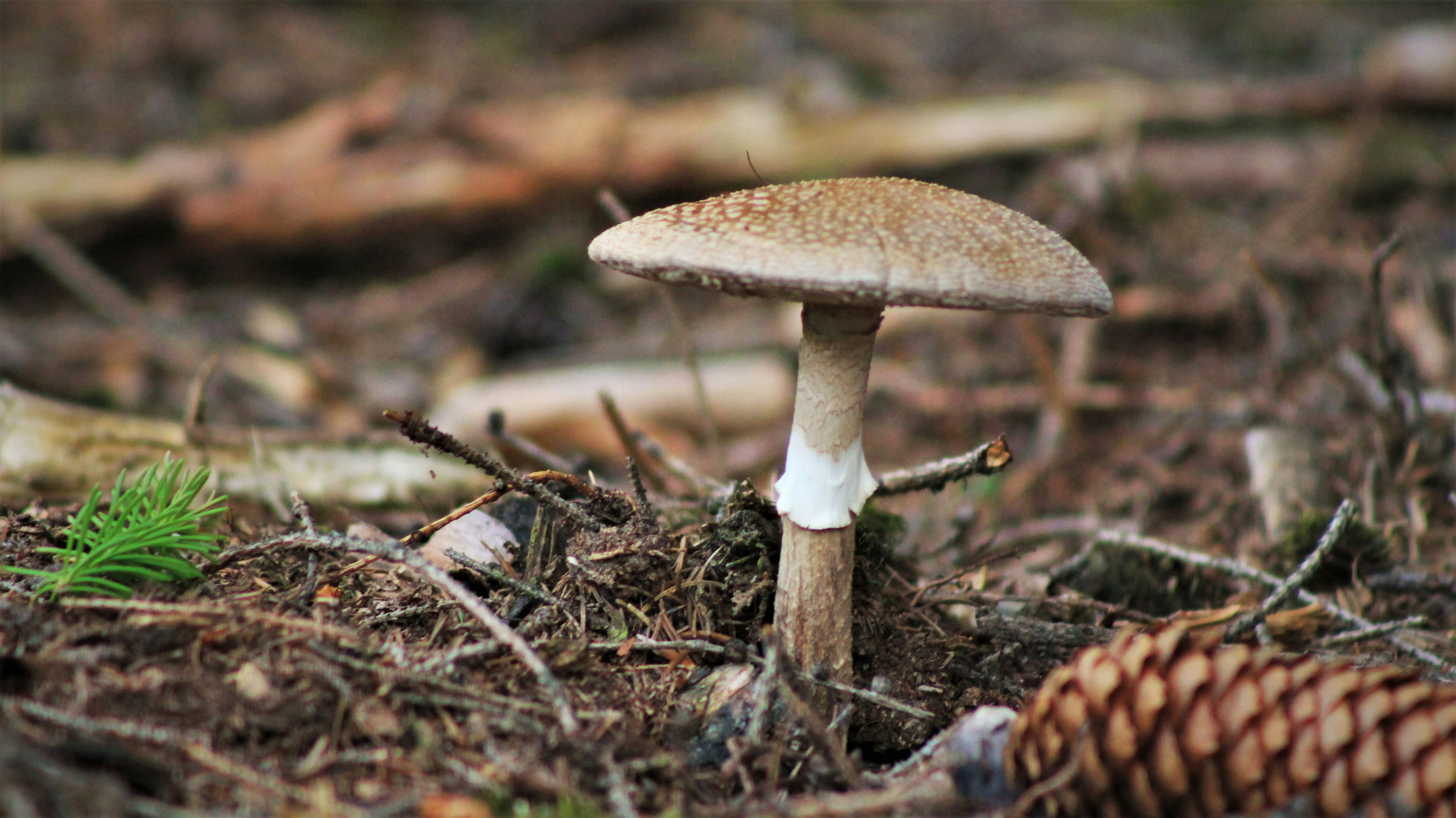 Photo by marjorylucabaxter