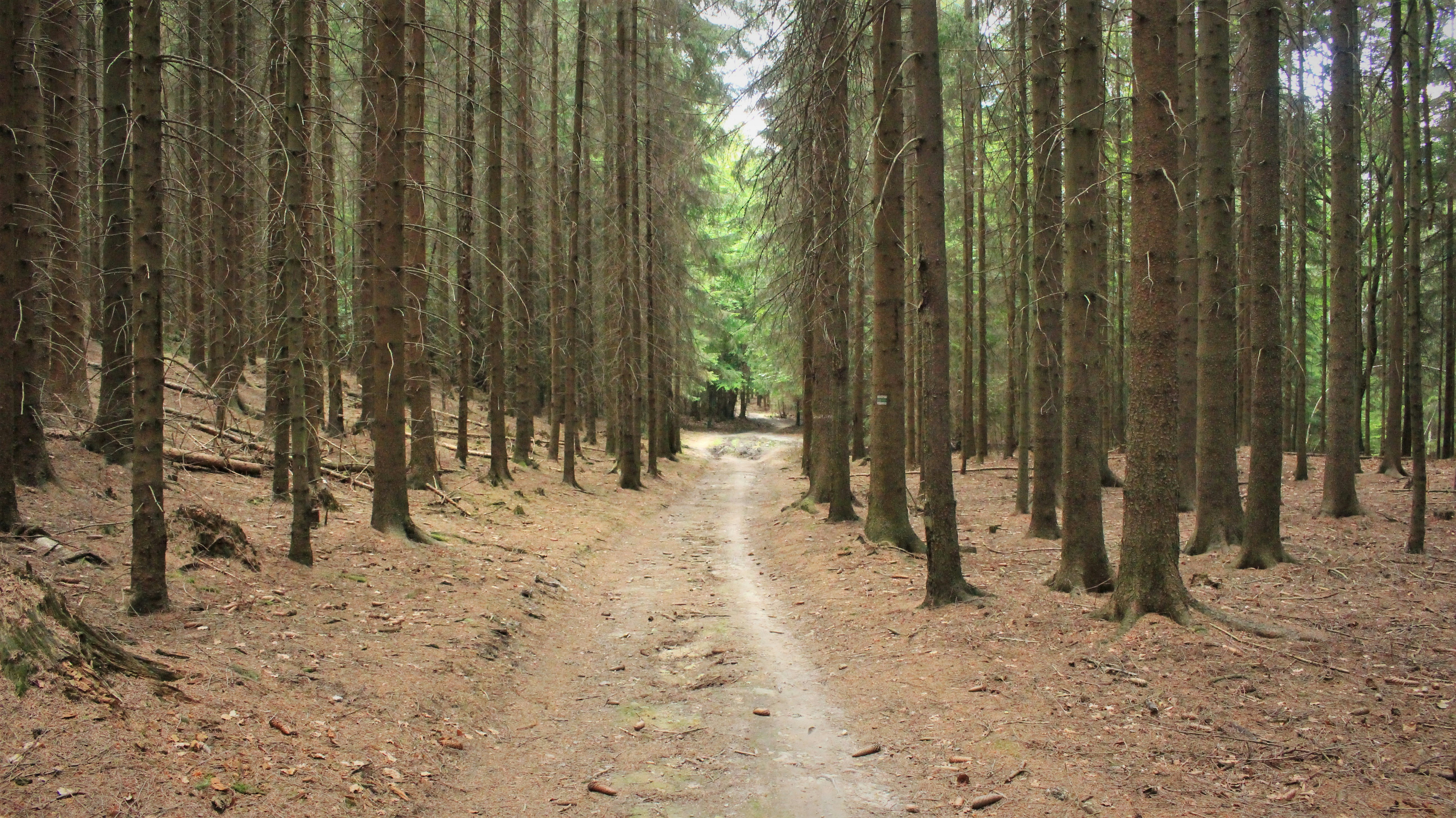 Photo by marjorylucabaxter