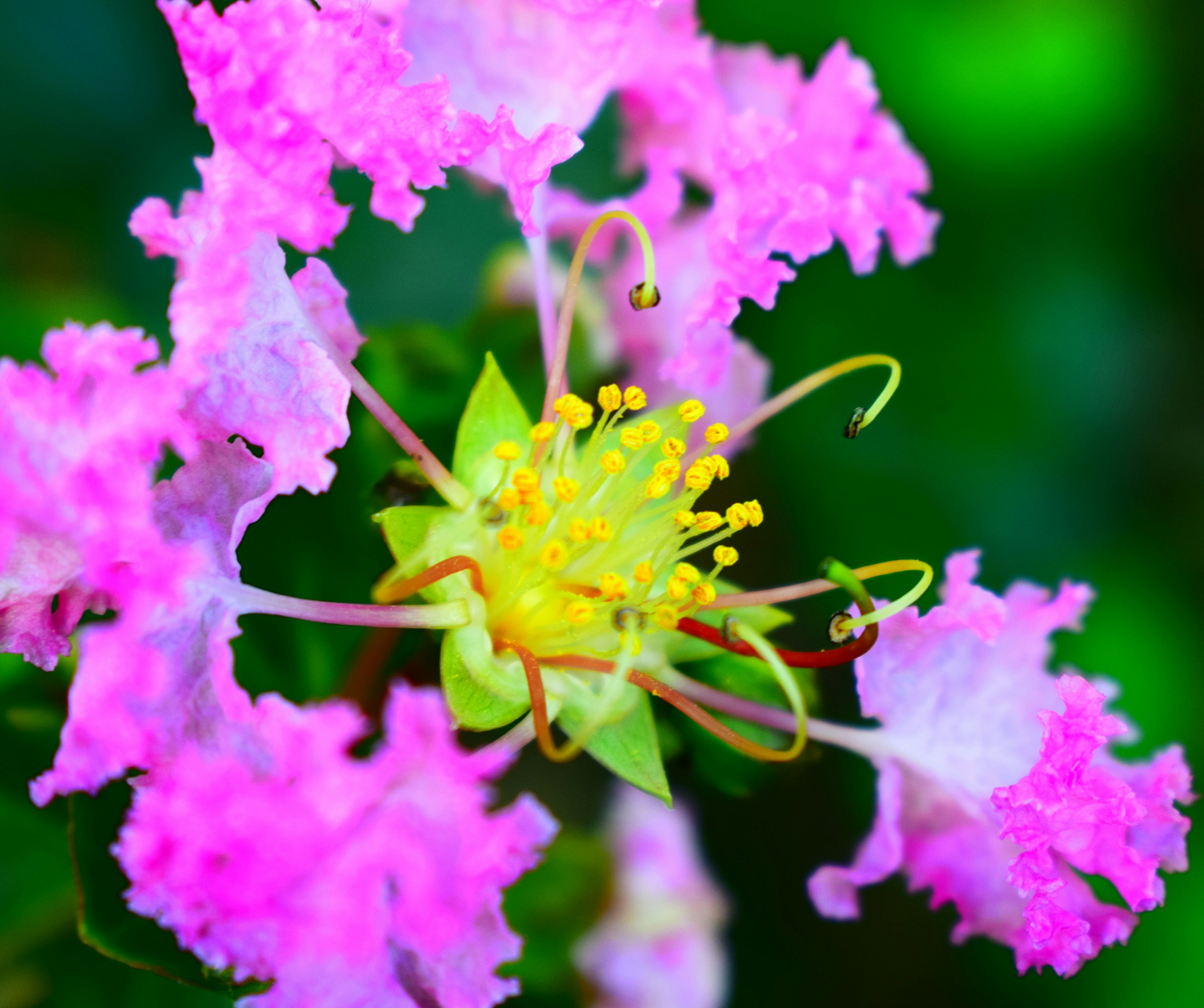 Photo by iu_unsplash