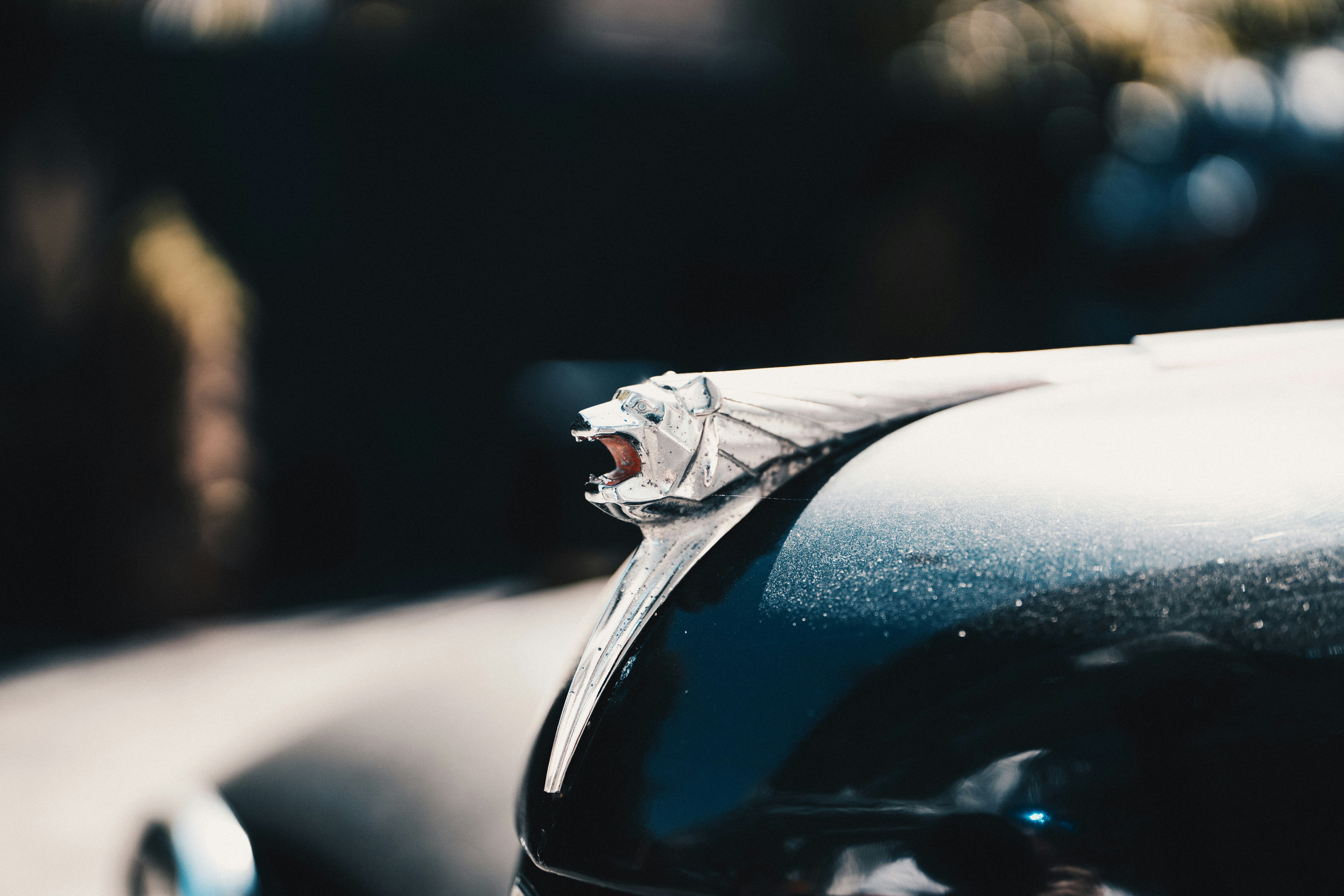 Photo by ballaschottner