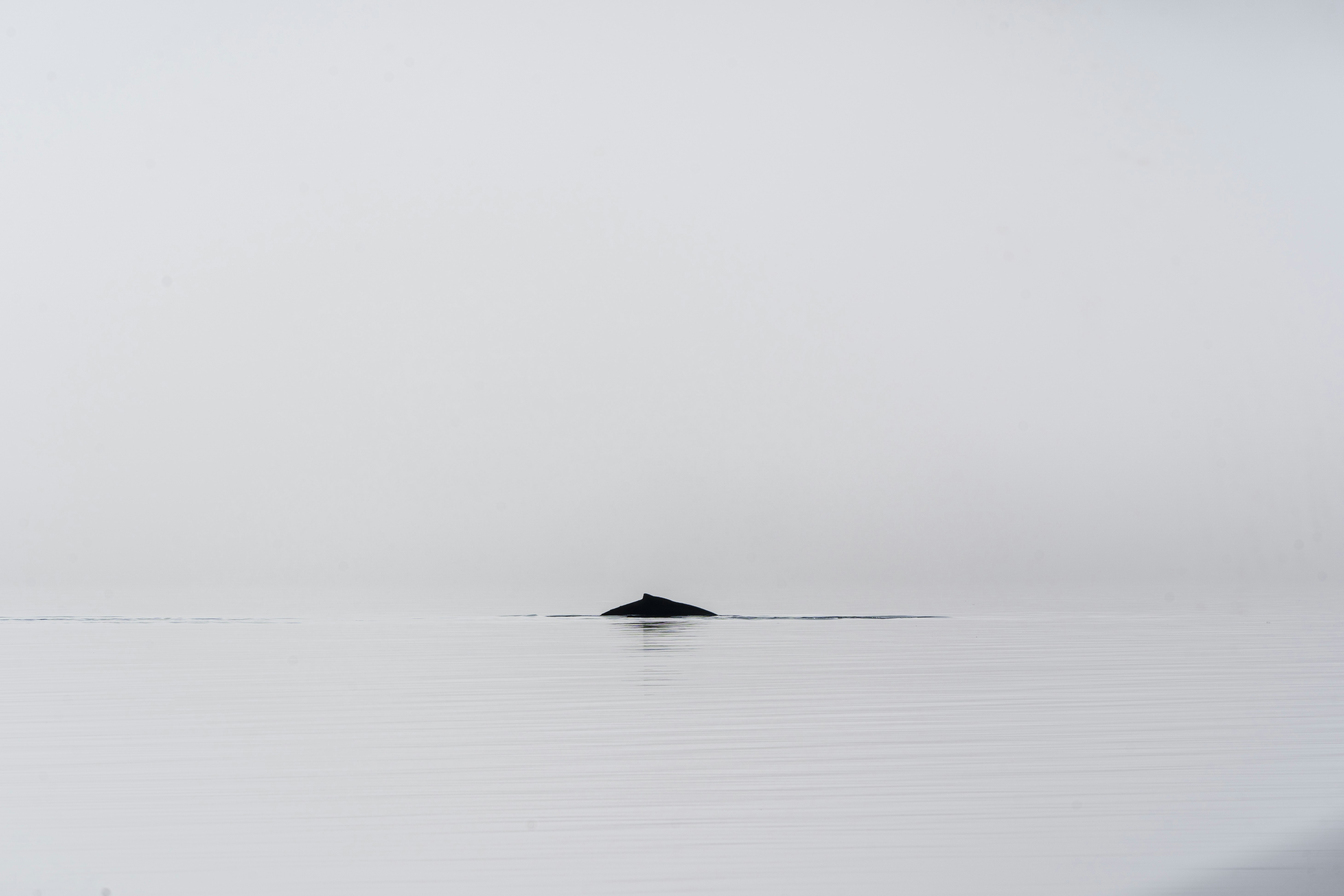 a lone rock in the middle of a body of water