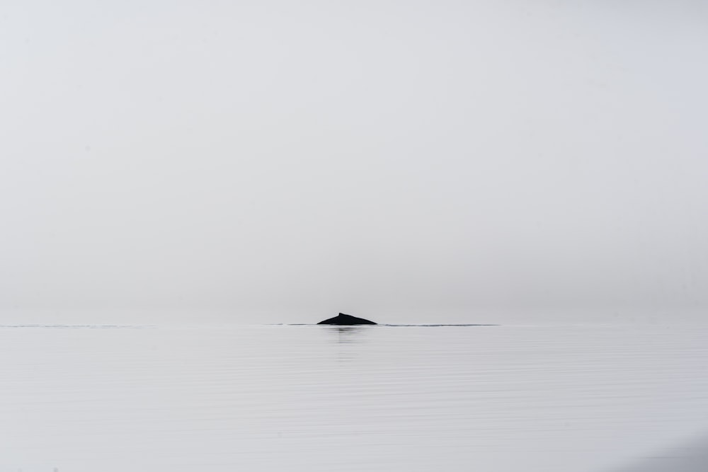 a lone rock in the middle of a body of water