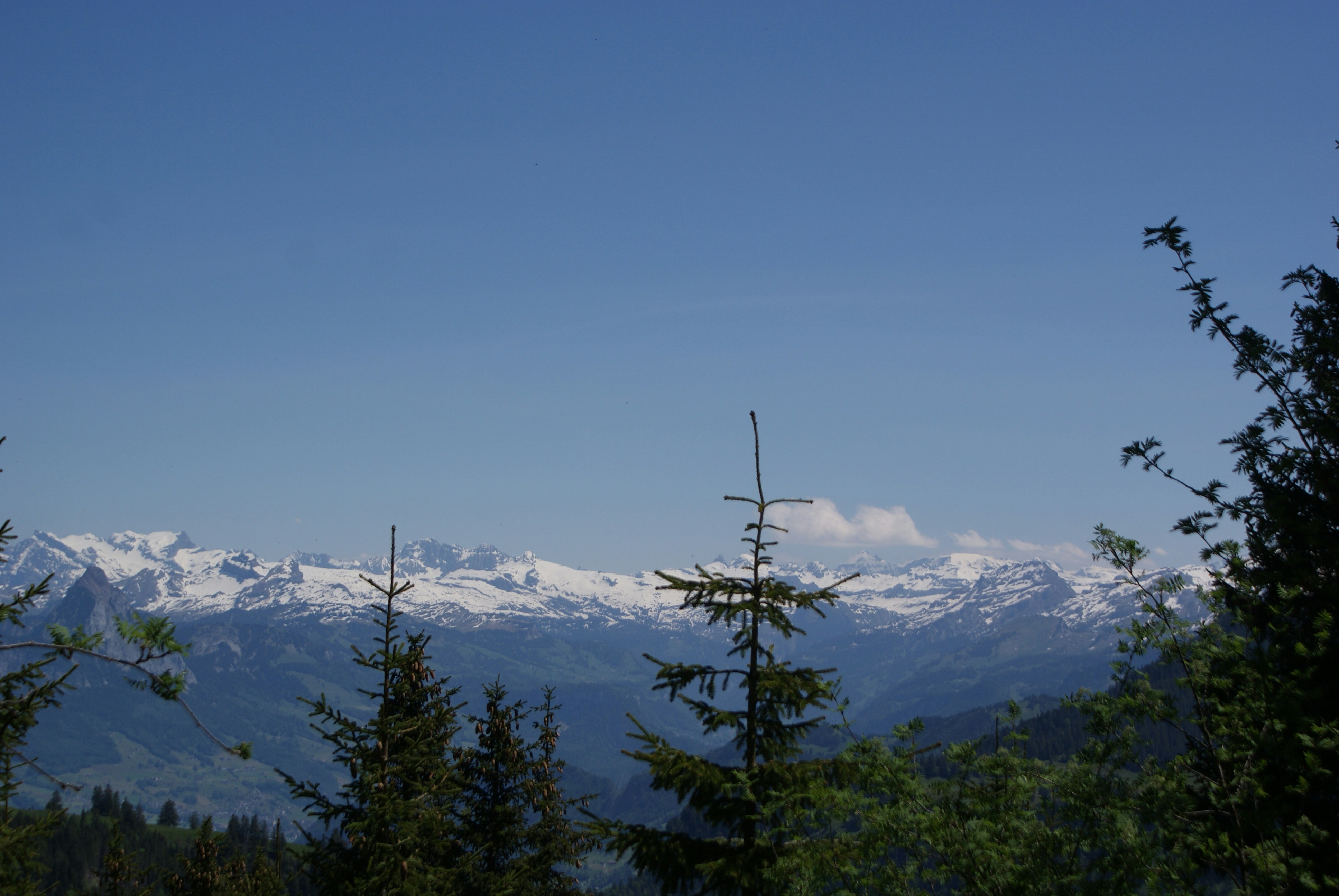 Photo by danicalifornia