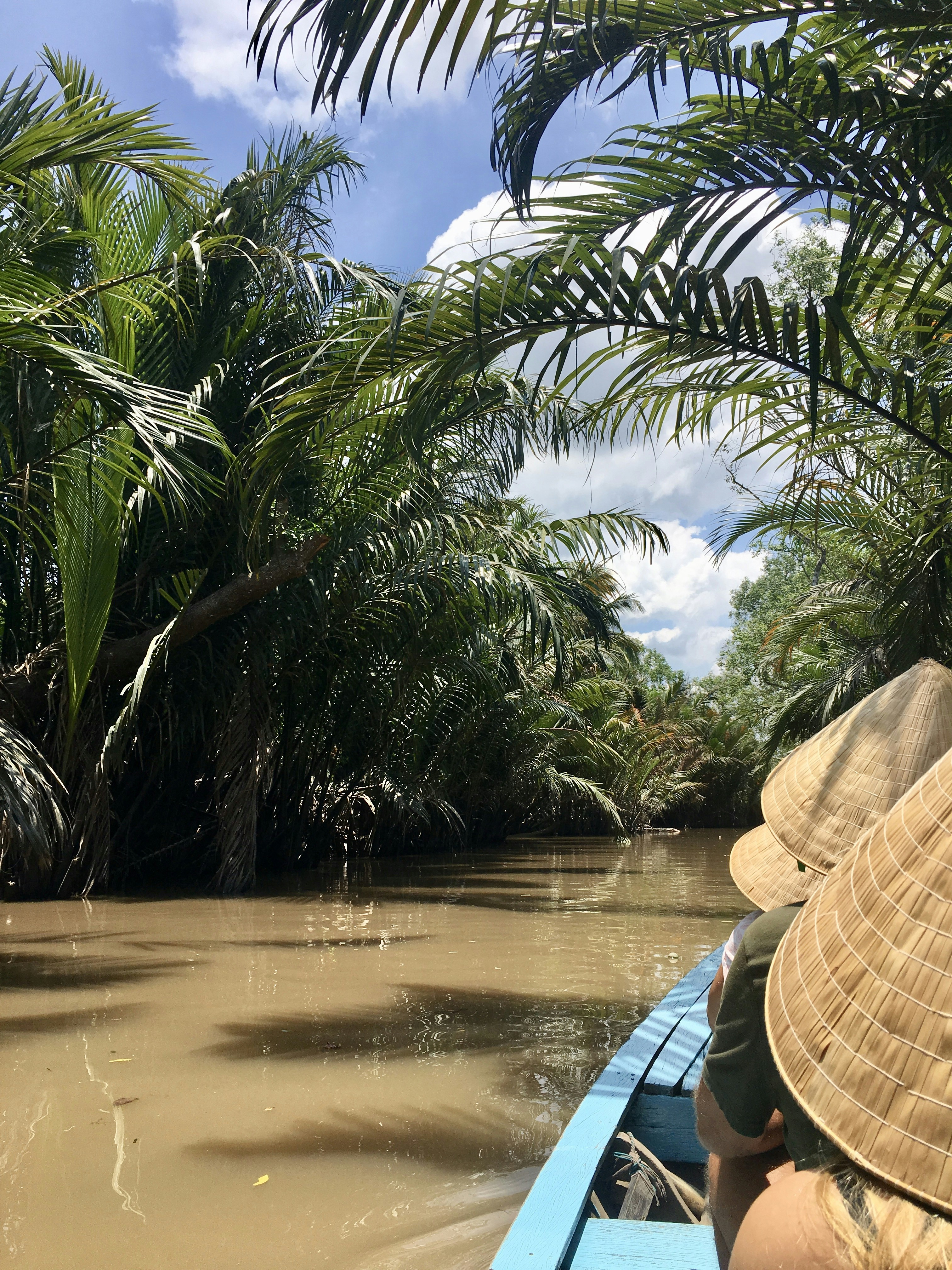Mekong Delta – Geography & Spatial Structure
