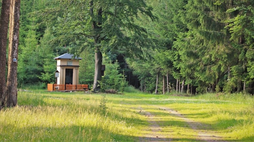 A welcoming prayer circle in a peaceful forest setting at Forest Ministry.